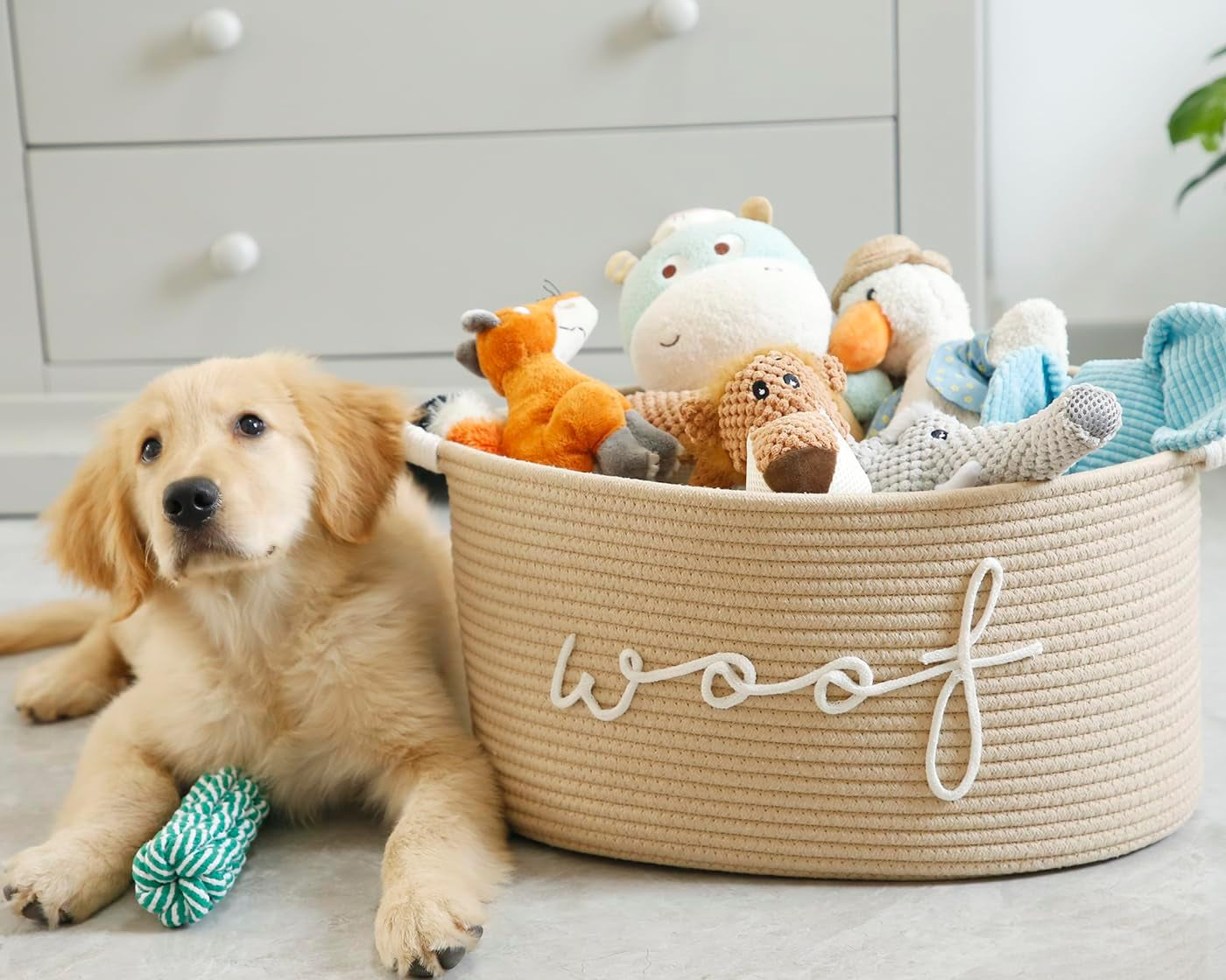 Woof Woven Rope Storage Baskets, Pet Dog Toy Bin Box Perfect for Organizing Chew Toys Blankets Leashes, Dog Toy Holder Cotton Basket Puppy Bins