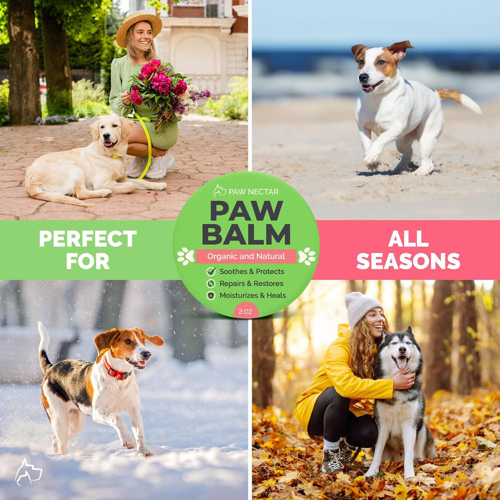Natural Lick Safe Dog Paw Balm - 2 Pack 100% Organic Dog Paw Pad Balm Protector, Moisturizer & Soother for Dry Cracked Paws, Hot Pavement - Heals, Repairs & Restores - Coconut Oil, Shea Butter (2Oz*2)
