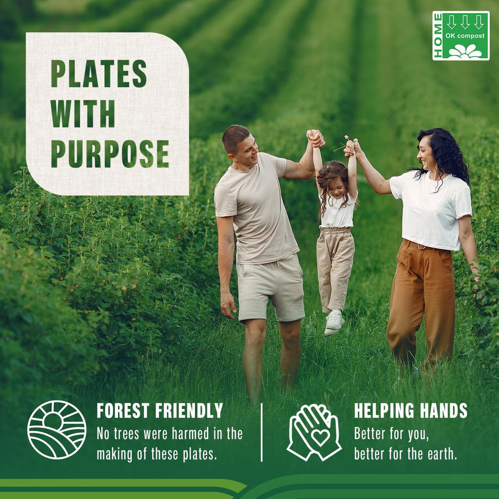 6 Inch White Compostable Plates – Biodegradable Sugarcane Fiber Dinner Plates, Heavy-Duty & Microwavable Disposable Plates for Weddings, Parties, Bbqs, Eco-Friendly Bulk 125 Pack
