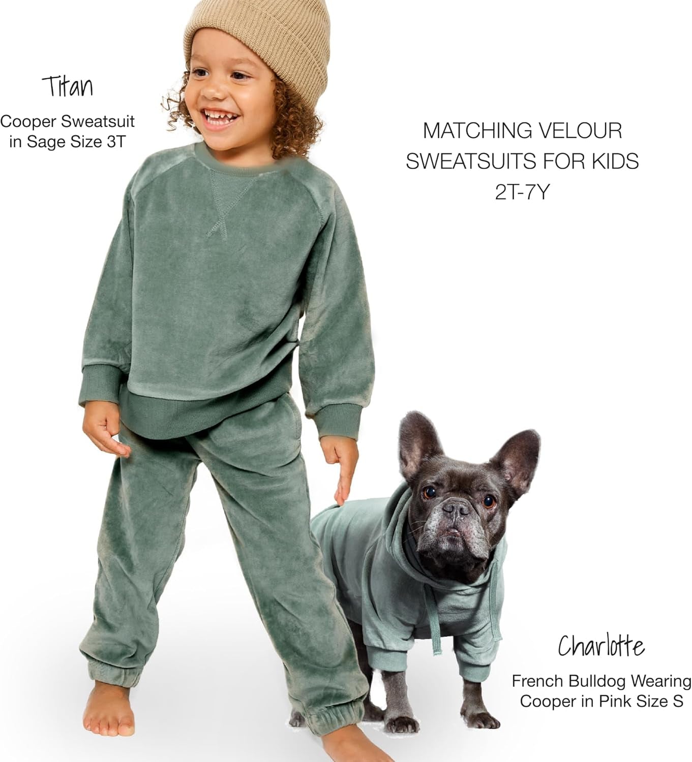 Cooper II Organic Cotton Velour Dog Hoodie Pet Coat for Small, Medium and Large Dogs, Sage, Large (40-60 Lbs)