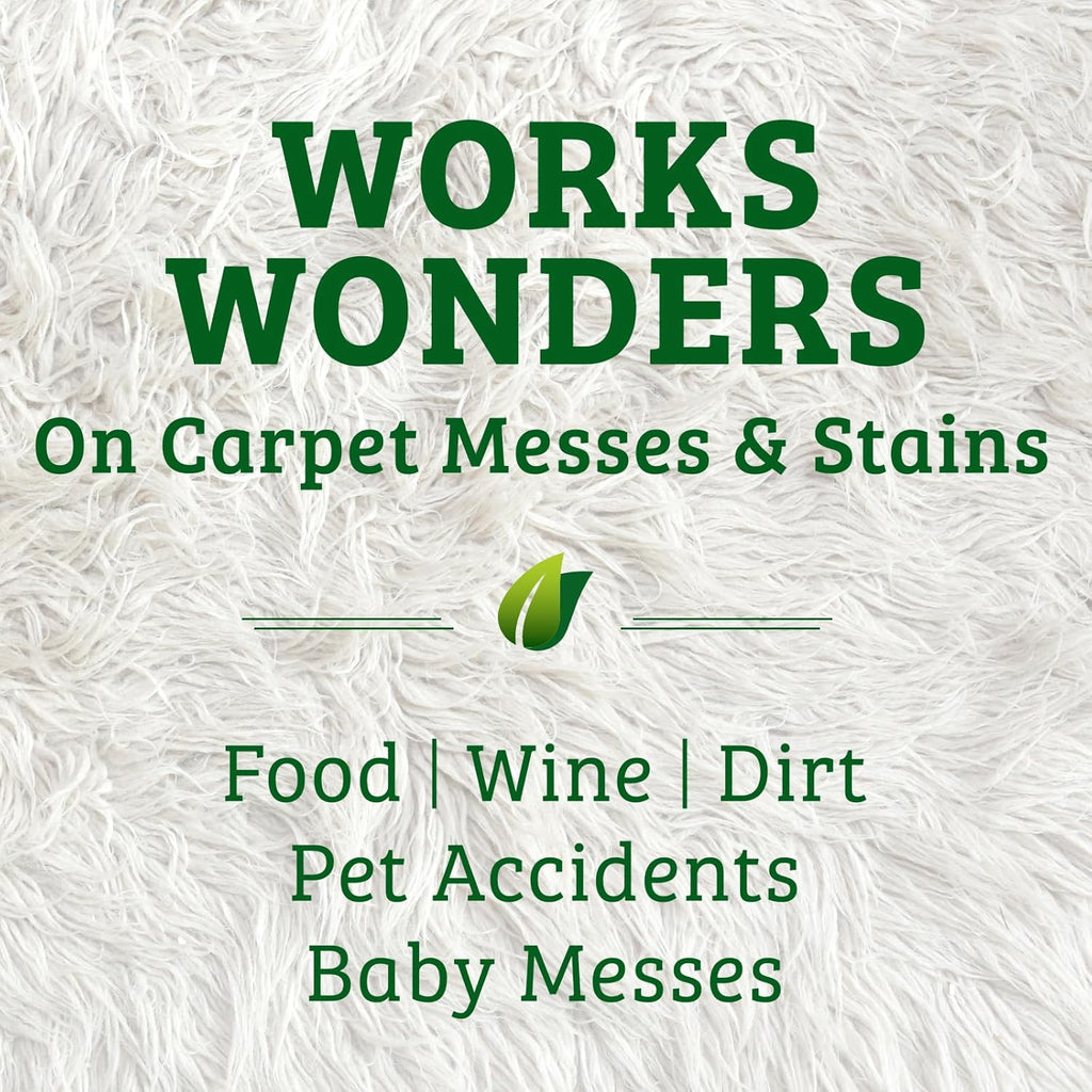 Bac-Out Carpet Stain Remover Enzymatic, Destroys Stains & Odors Safely, for Pet Urine, Laundry, Diapers, Wine, Carpets, More, Eco-Friendly, Plant-Based