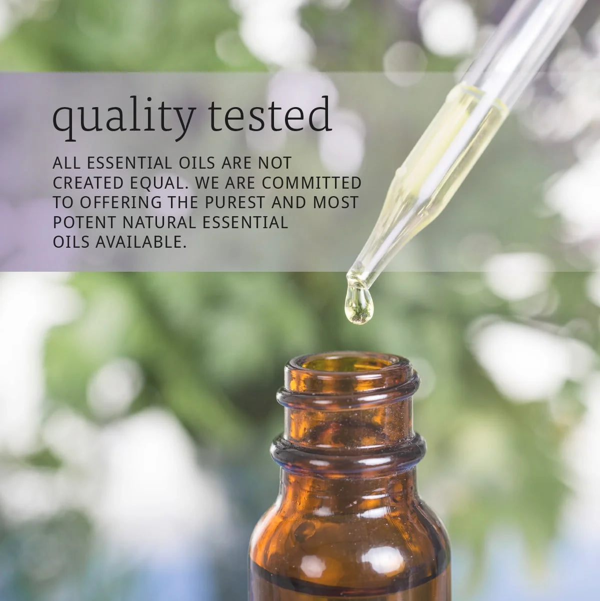 Essential Oils, Seasonal Changes Balancing Aromatherapy Kit, 4X10Ml Including Tea Tree, Eucalyptus Radiata, Clear the Air and Nature’S Shield Oil Blend with Child Resistant Caps