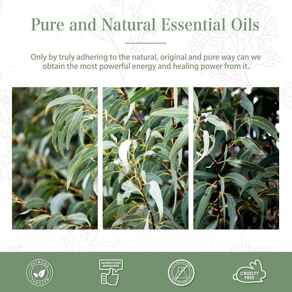 Pure Eucalyptus Essential Oil, 100% Pure Therapeutic Grade Premium Oil for Hair Care, Skin, Aromatherapy 3.38Fl Oz