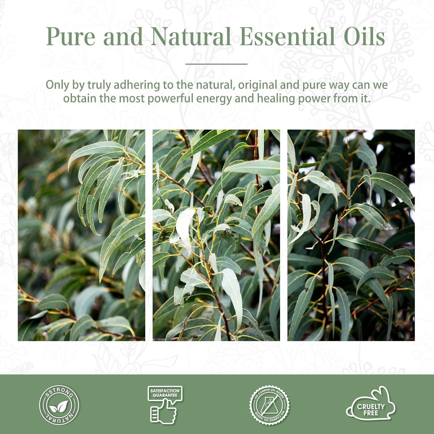 Pure Eucalyptus Essential Oil, 100% Pure Therapeutic Grade Premium Oil for Hair Care, Skin, Aromatherapy 3.38Fl Oz