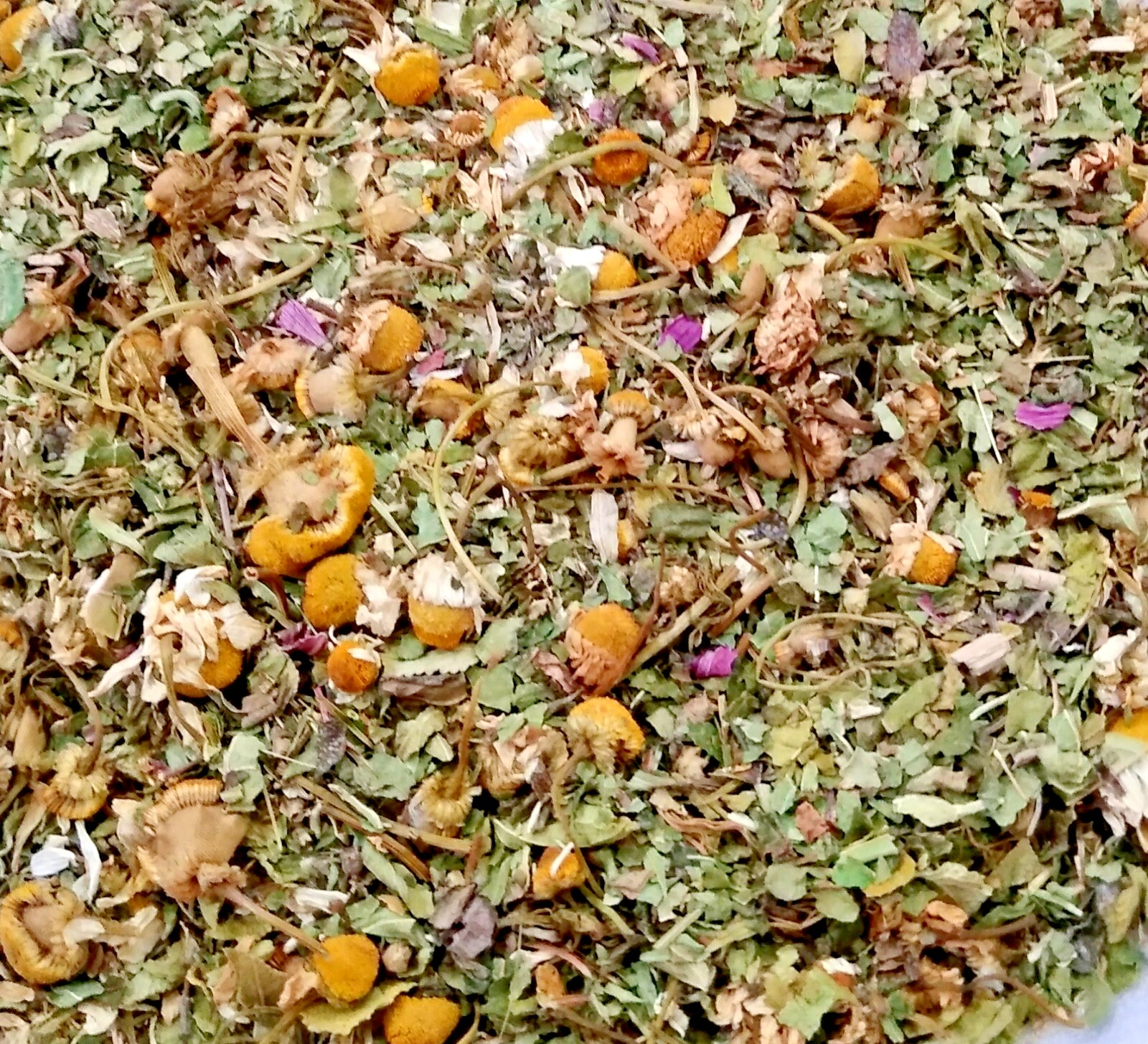 Candida Cleanse Herbal Blend | Gut Health Support | Natural Detox