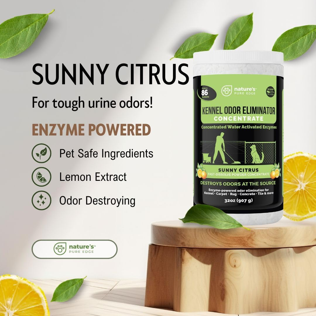 Enzyme Powder Concentrate Makes 86 Gallons - Professional Use for Kennel and Pet Odor Elimination - Removes Urine Poop from Carpets Floors - Sunny Citrus