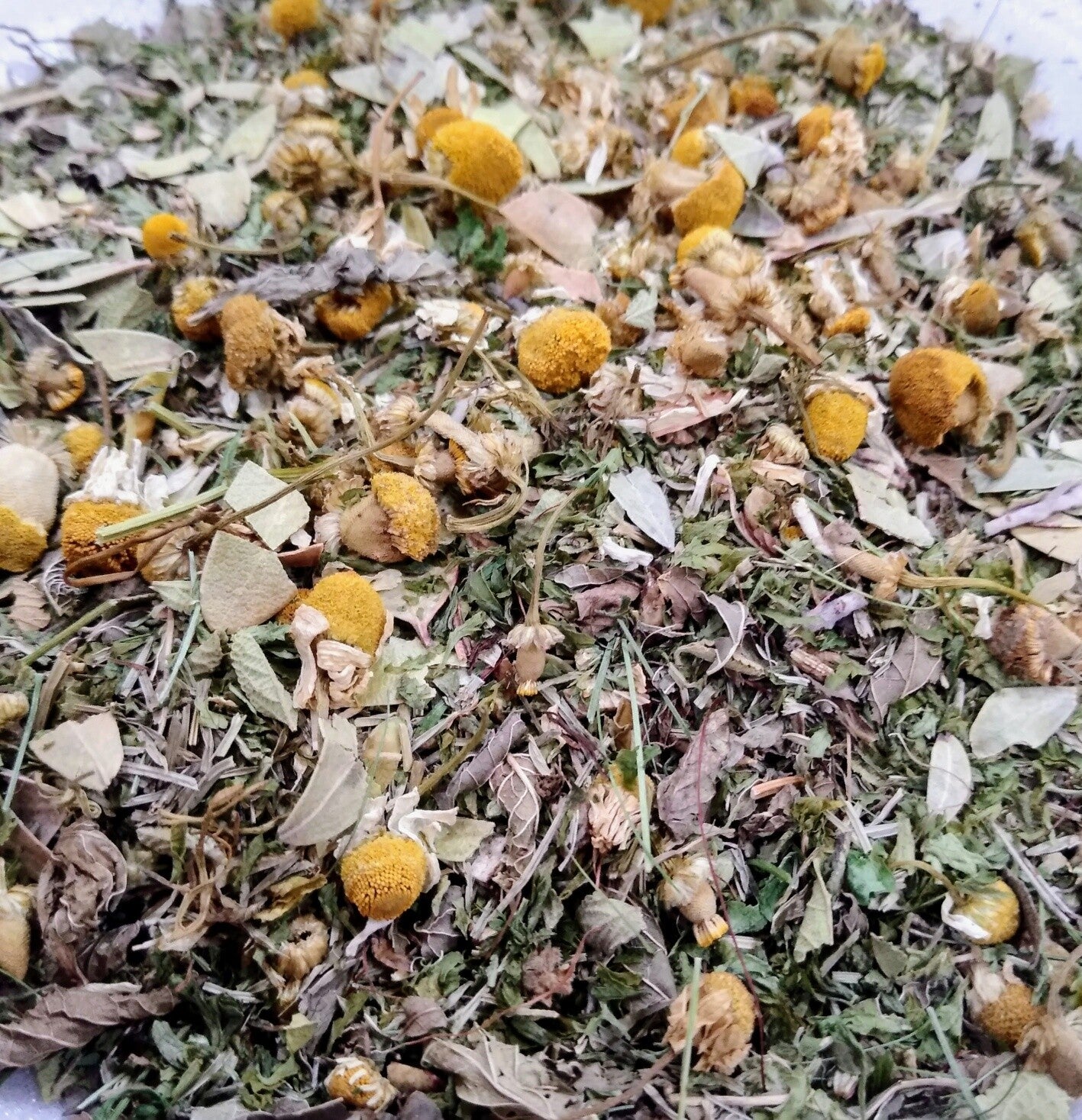 Urinary Tract (UTI) Organic Loose Leaf Herbal Tea Blend 1Oz Organic