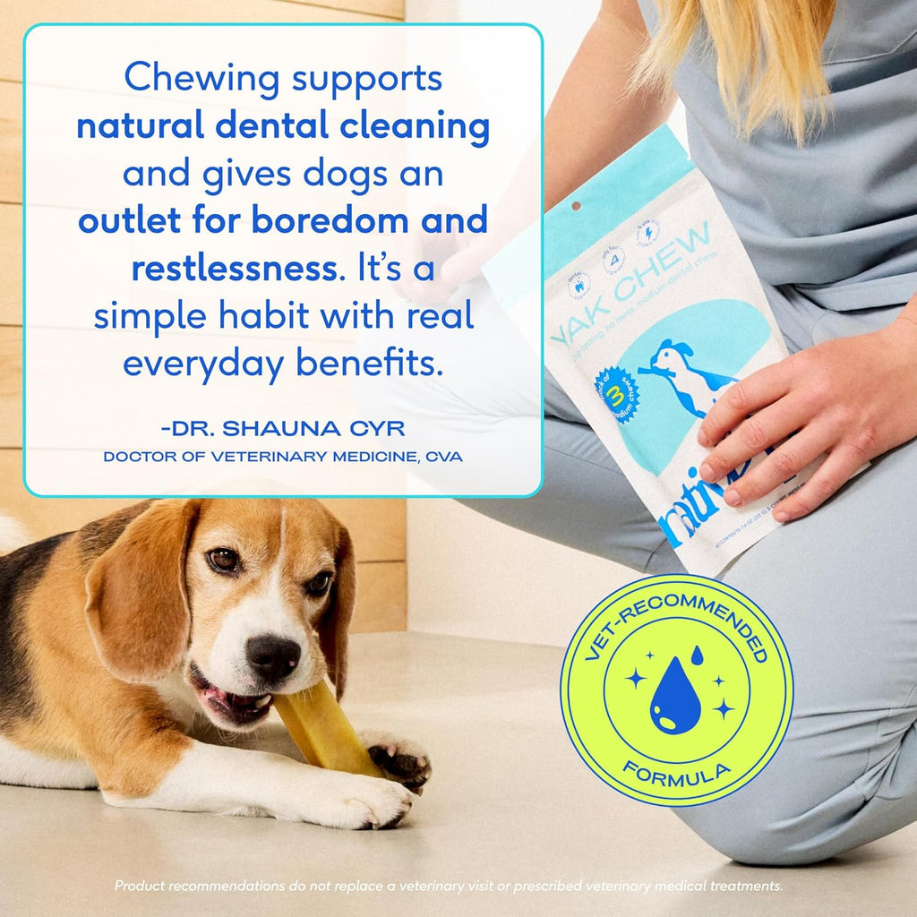 Yak Cheese Himalayan Dog Chews - Long Lasting Dental Sticks for Small Breeds– 100% All Natural Himalayan Yak Chews for Small Dogs – Cheese Bone for Aggressive Chewers - 15 per Pack