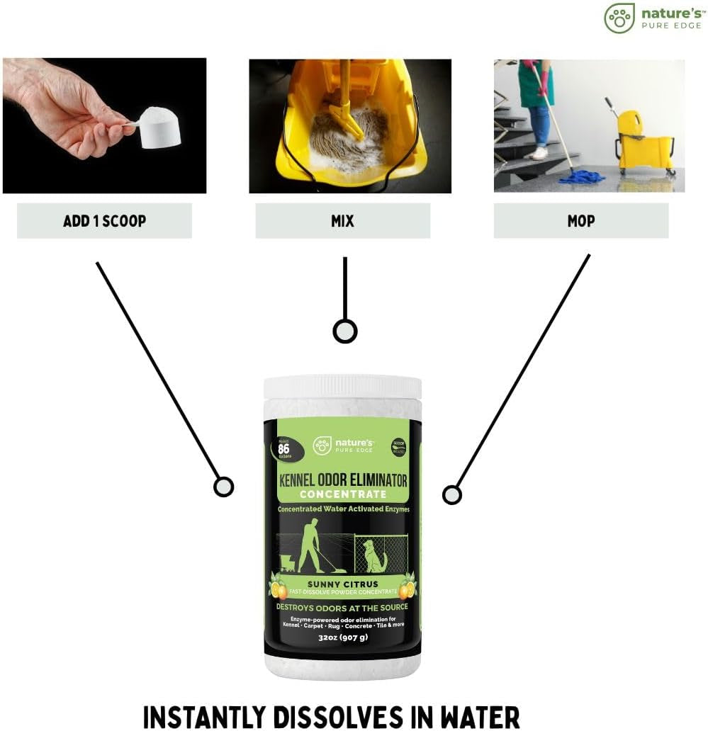 Enzyme Powder Concentrate Makes 86 Gallons - Professional Use for Kennel and Pet Odor Elimination - Removes Urine Poop from Carpets Floors - Sunny Citrus