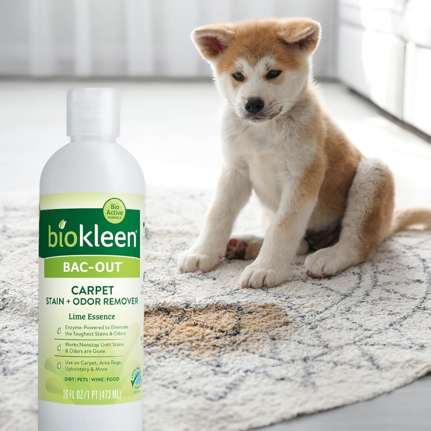 Bac-Out Carpet Stain Remover Enzymatic, Destroys Stains & Odors Safely, for Pet Urine, Laundry, Diapers, Wine, Carpets, More, Eco-Friendly, Plant-Based