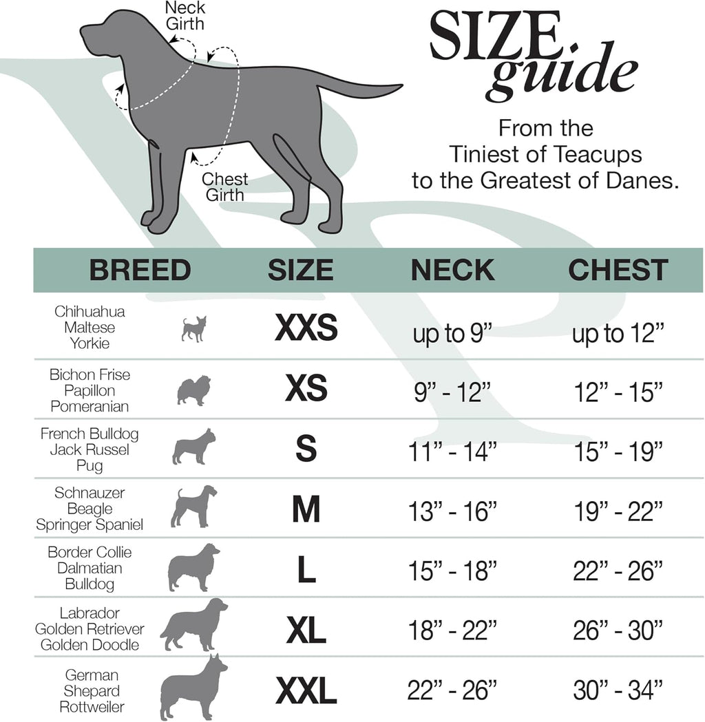 Cooper II Organic Cotton Velour Dog Hoodie Pet Coat for Small, Medium and Large Dogs, Sage, Large (40-60 Lbs)